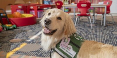 Bulkley Richardson Gives Back to the Community & Grows Its Team